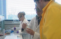 Students in a laboratory conducting experiments